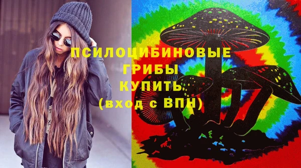 a pvp Абинск