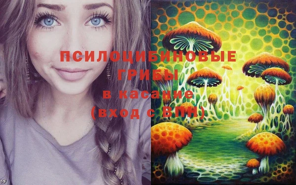 твердый Абдулино