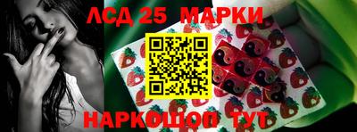 СК Можга
