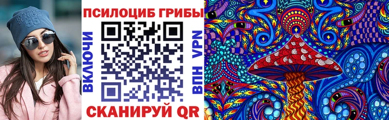 что такое   Богородск  Псилоцибиновые грибы Magic Shrooms 
