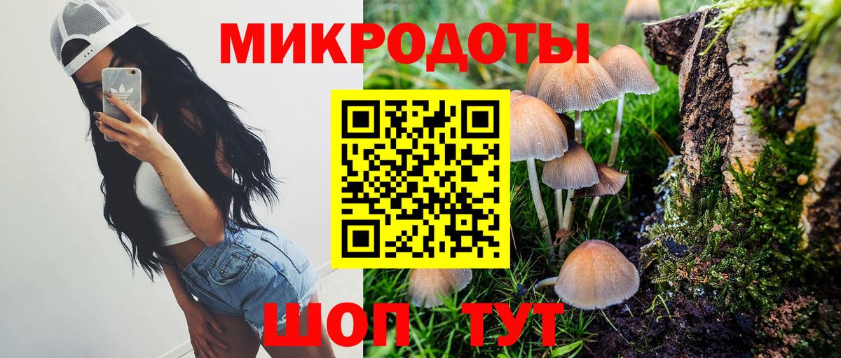 наркота  Вход с VPN  Богородск  Галлюциногенные грибы ЛСД 