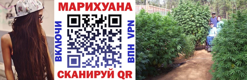 Каннабис Amnesia Богородск